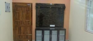 WhatsApp Image 2026-02-11 at 12.06.09 PM